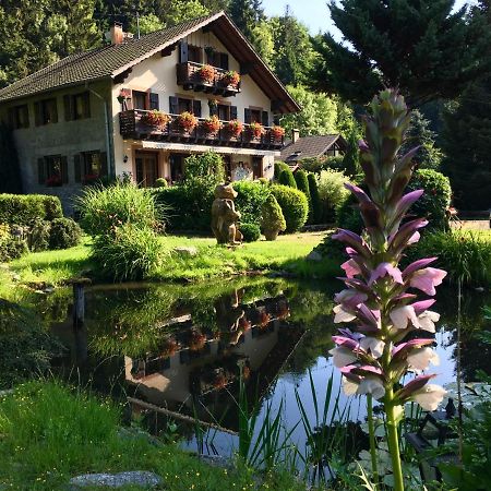 Chambres D'Hotes Des Cascades St-Nicolas Kruth Esterno foto