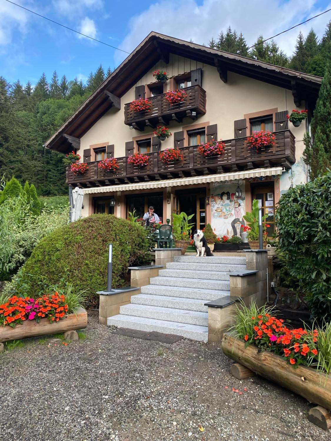 Chambres D'Hotes Des Cascades St-Nicolas Kruth Esterno foto