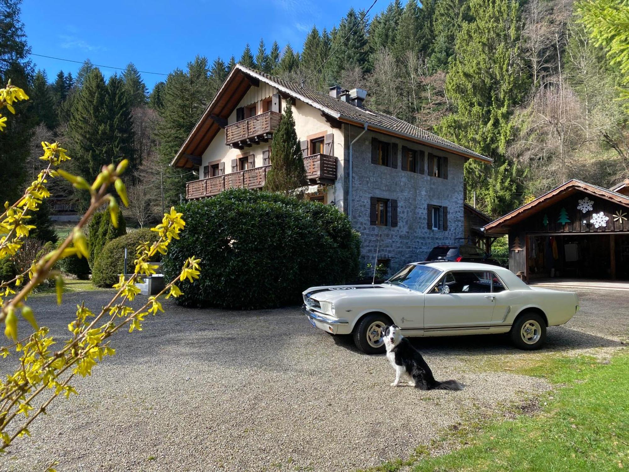 Chambres D'Hotes Des Cascades St-Nicolas Kruth Esterno foto