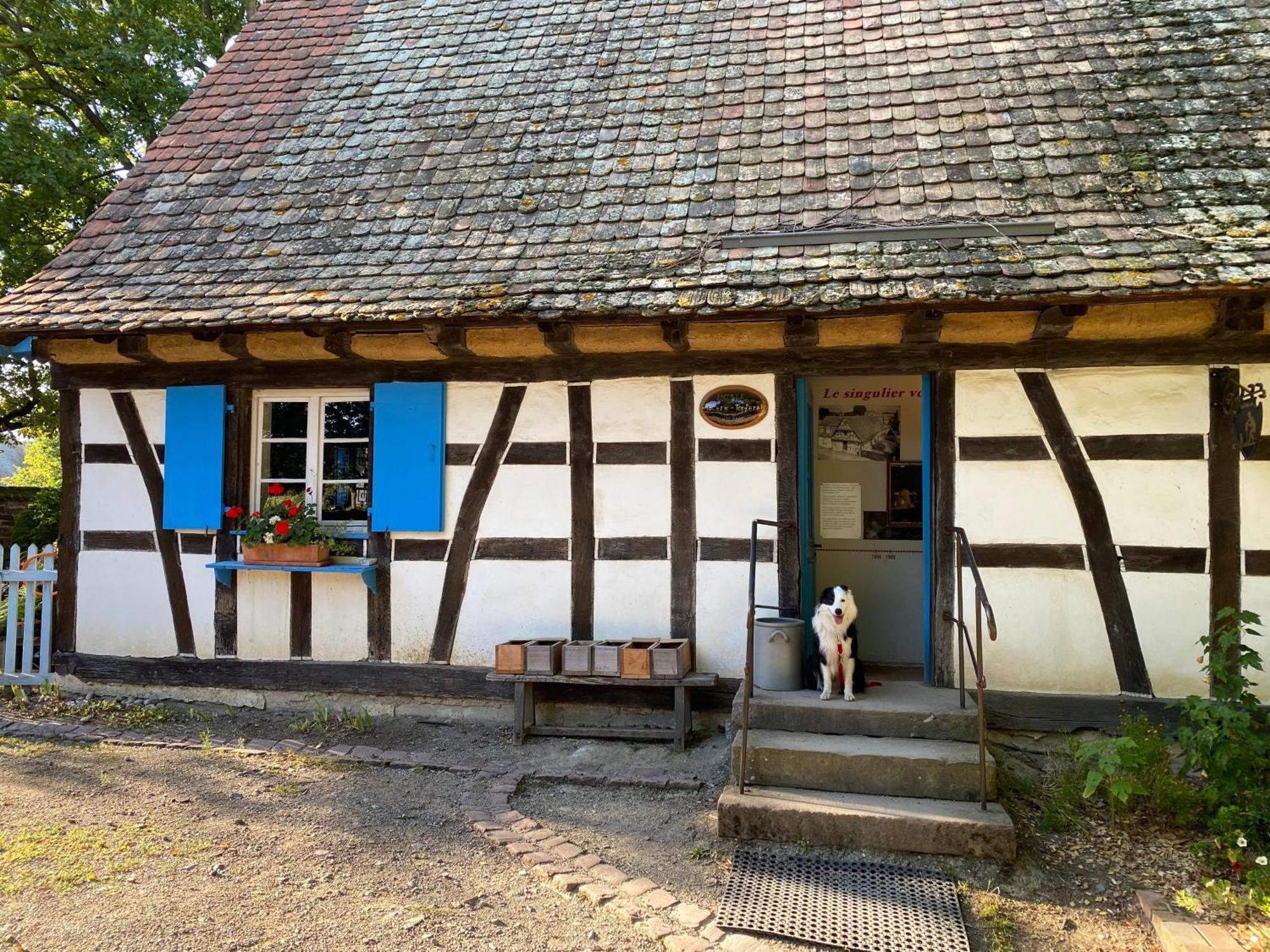 Chambres D'Hotes Des Cascades St-Nicolas Kruth Esterno foto