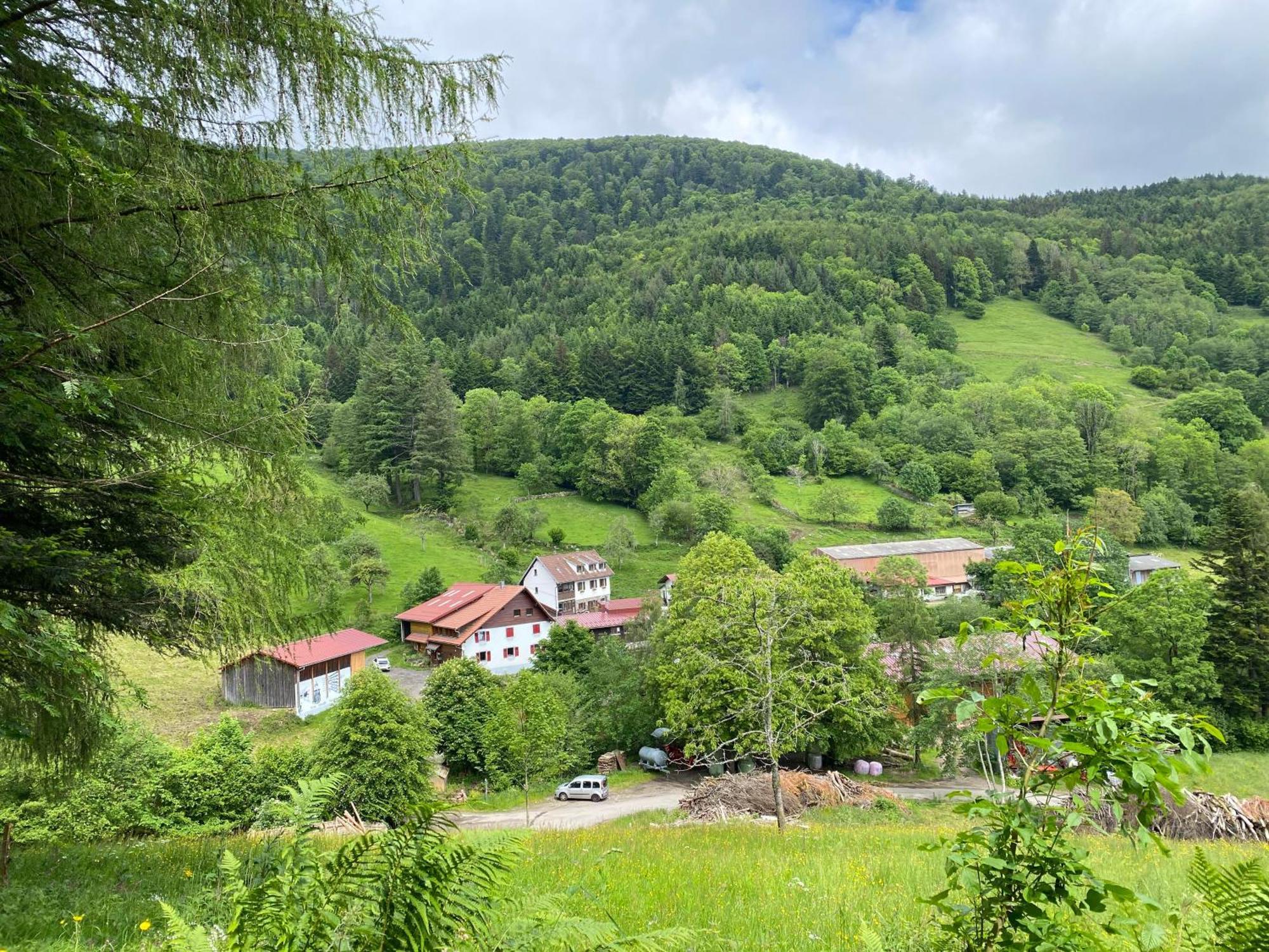 Chambres D'Hotes Des Cascades St-Nicolas Kruth Esterno foto