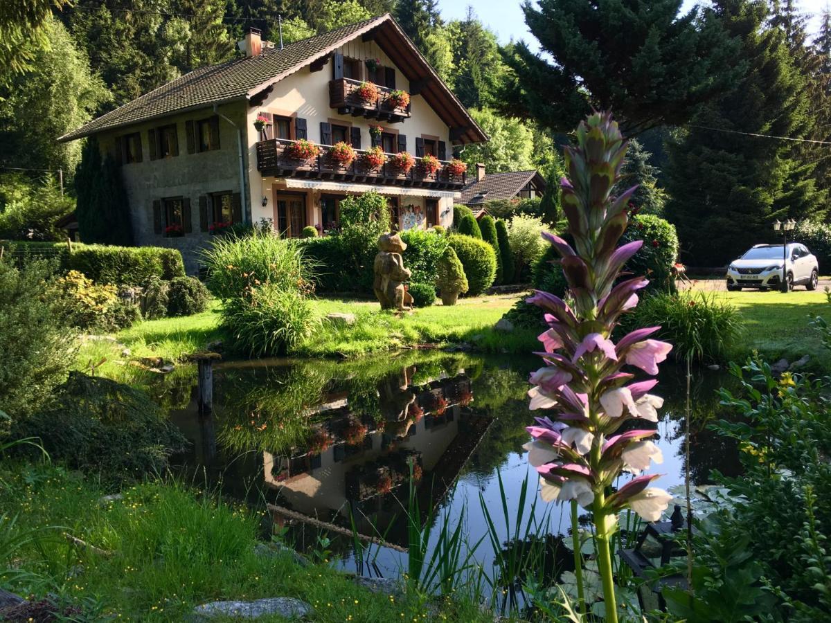 Chambres D'Hotes Des Cascades St-Nicolas Kruth Esterno foto