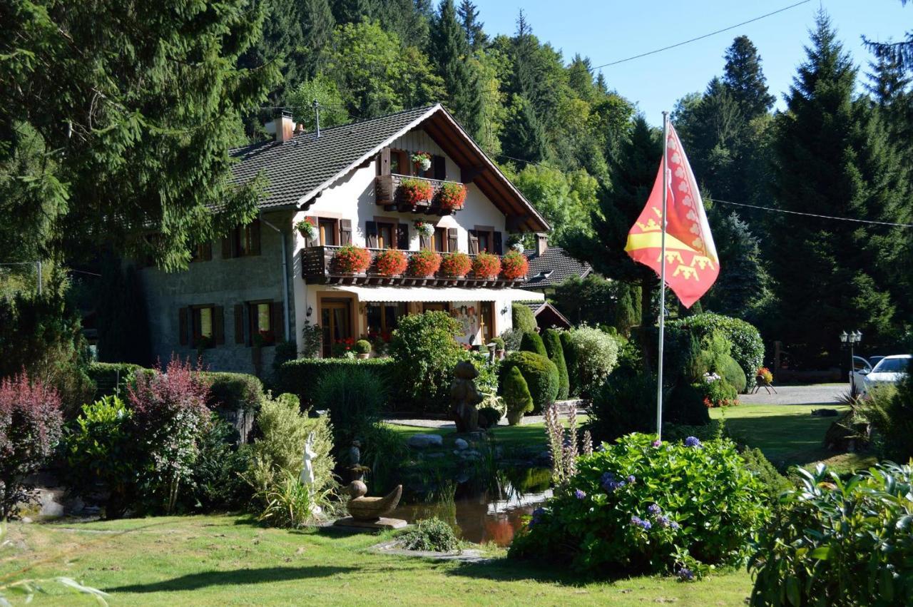 Chambres D'Hotes Des Cascades St-Nicolas Kruth Esterno foto